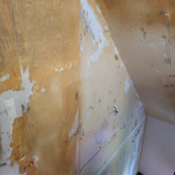 Artisan peintre décoration intérieure